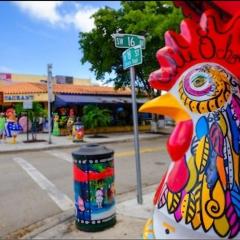 Cozy Entire apartment in the heart of Miami