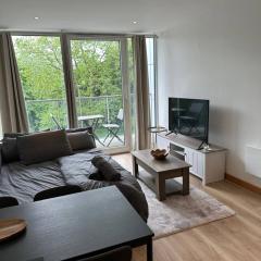 Modern Chelsea Bridge Apartment - Battersea Park View