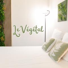 Le Végétal - 5 min à pied du centre avec jardin