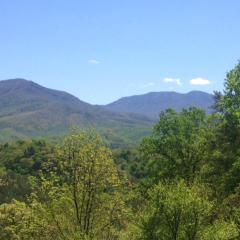 Mountain views, pet friendly, game rooms, 3 king bedrooms, and 2 game rooms!