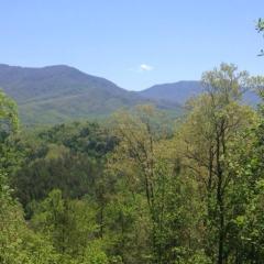Pool table, pet friendly, hot tub, & mountain view, 3 bedrooms