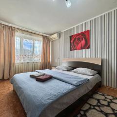 2-room apartment near UMSA, ПДМУ, Звітна документація для відрядження