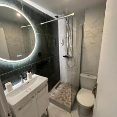 Nouveau Studio -Clim -grand lit et terrasse