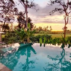 Ubud 3-bedrooms with sunset view