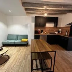 Maison de charme T3 rénovée avec jardin à Vicq-sur-Gartempe, proche La Roche-Posay - FR-1-541-165