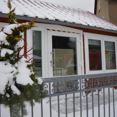 Ferienhaus Tinylausitz mit Kamin und Sauna