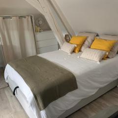 Charmant et cosy appartement