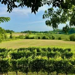 Residenza Le Vigne