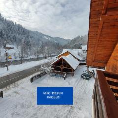 Pensiunea Piatra Mandrutului