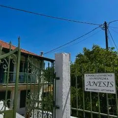 ANESIS