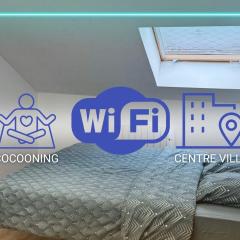 Confortable Studio - Centre ville