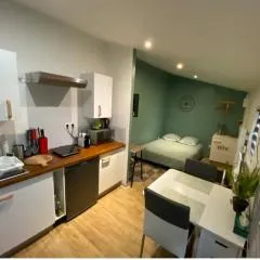 LE PATIO Studio-Terrasse Montbeliard-Centre