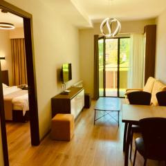 Bakuriani, crystal residence 405 room