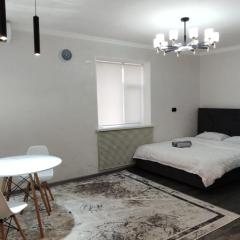 1 комнатная Люкс квартира в центре города