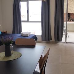 APA Leviosa- departamento nuevo con parrilla en el balcón