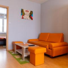 Central apartment