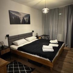 FeWo im Kurhotel in Schluchsee Apartment Black Forest mit Balkon Indoorpool Tiefgaragenstellplatz