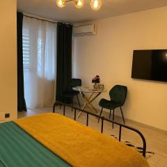 Zen Studio Dristor sector 3