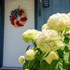 BnBs Dog Friendly Cottage