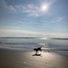 Chalet K118 - The Sand Beach