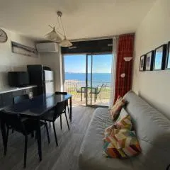 Appartement 2 étoiles climatisé avec balcon, proche Thermes, animaux admis - FR-1-503-37