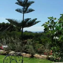 Villa Carpe Diem