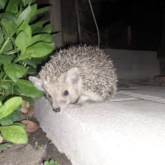 Гостевой Дом В Гостях на Иссык-Куле