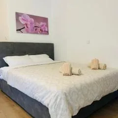 Alex Comfort Room