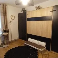 Agréable studio proche Paris et Porte de Versailles