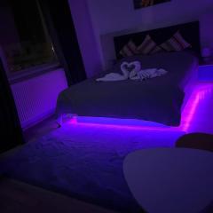 Leo Home