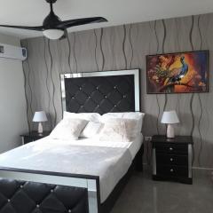 Deluxe One Bedroom Apartment in Kingston