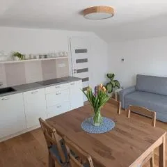 Vejminek NMNM