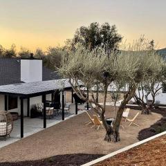 Olive and Stone
