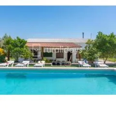 Villa Dehesa Olive