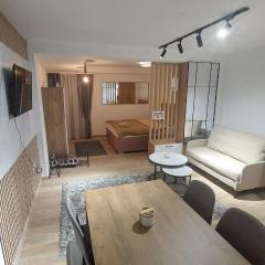 Apartman Mećavnik Kopaonik