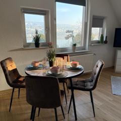 Schickes Apartment am Rhein