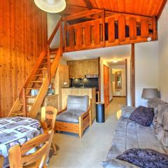 Appartement spacieux au centre de Morzine - Animaux admis - FR-1-524-4