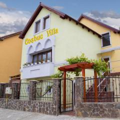 Cosbuc Residence & Villa