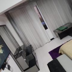 شيراتون المطار