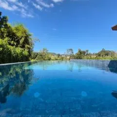 Six elements pool villa khaokho