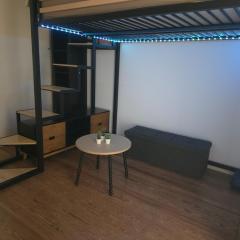 Beau studio proche gare à Dijon