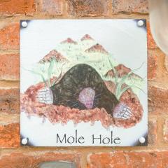 Mole Hole