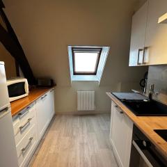 T2 central avec WIFI et parking gratuit à La Roche-Posay - FR-1-541-162