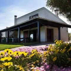 Villa Olga