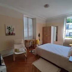 Studio charmant avec kitchenette séparée, animaux acceptés à Aix-les-Bains - FR-1-555-105