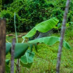 sanduni villa with flora & fauna