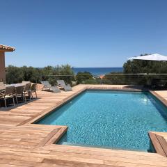 Villa vue mer, spacieuse, piscine privée