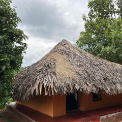 Jungle Farm House