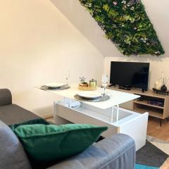 Nid Douillet Proche Centre ville