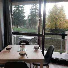 Résidence Les Arolles - Studio pied des pistes MAE-3974